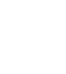Vannisis Logo